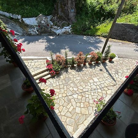Λευκή Καμέλια Hotel Anilio Pelion Exterior foto