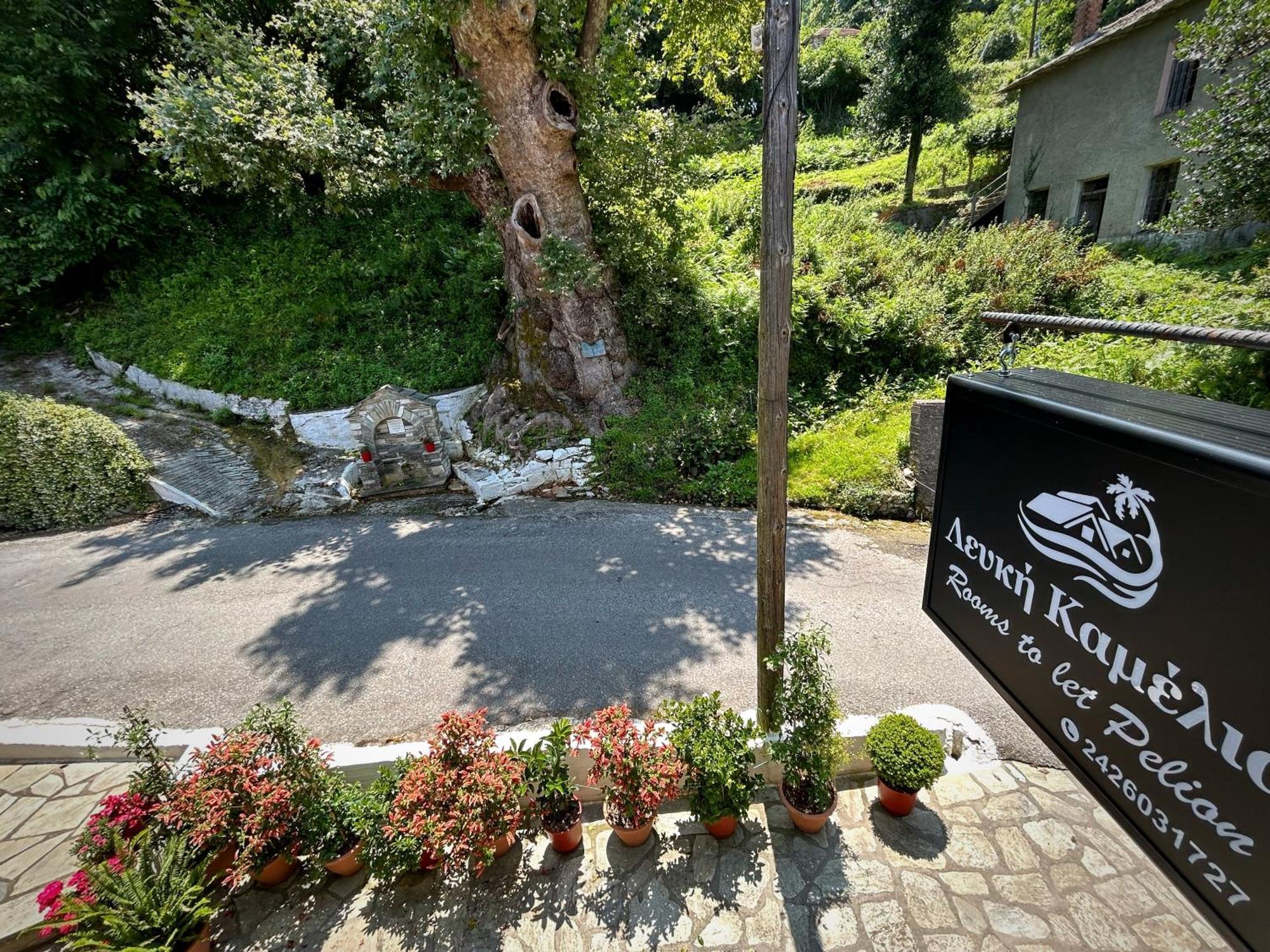 Λευκή Καμέλια Hotel Anilio Pelion Exterior foto