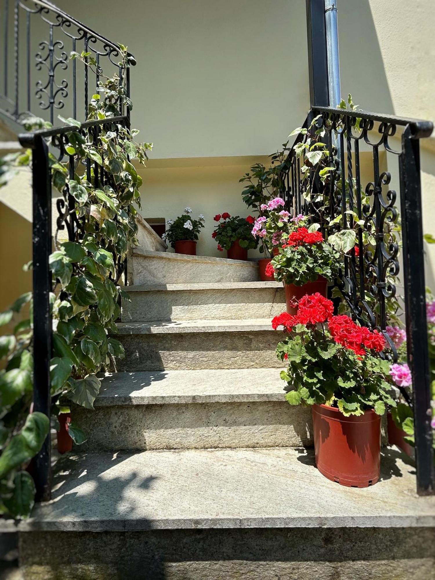 Λευκή Καμέλια Hotel Anilio Pelion Exterior foto