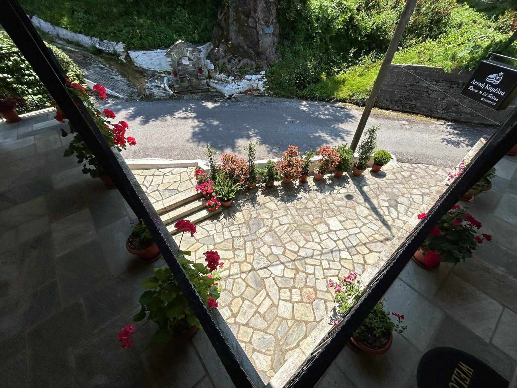 Λευκή Καμέλια Hotel Anilio Pelion Exterior foto