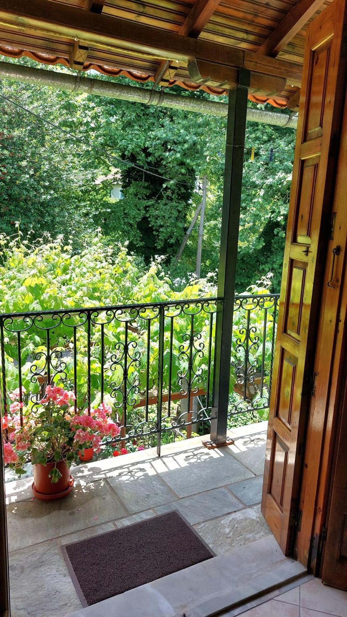 Λευκή Καμέλια Hotel Anilio Pelion Exterior foto